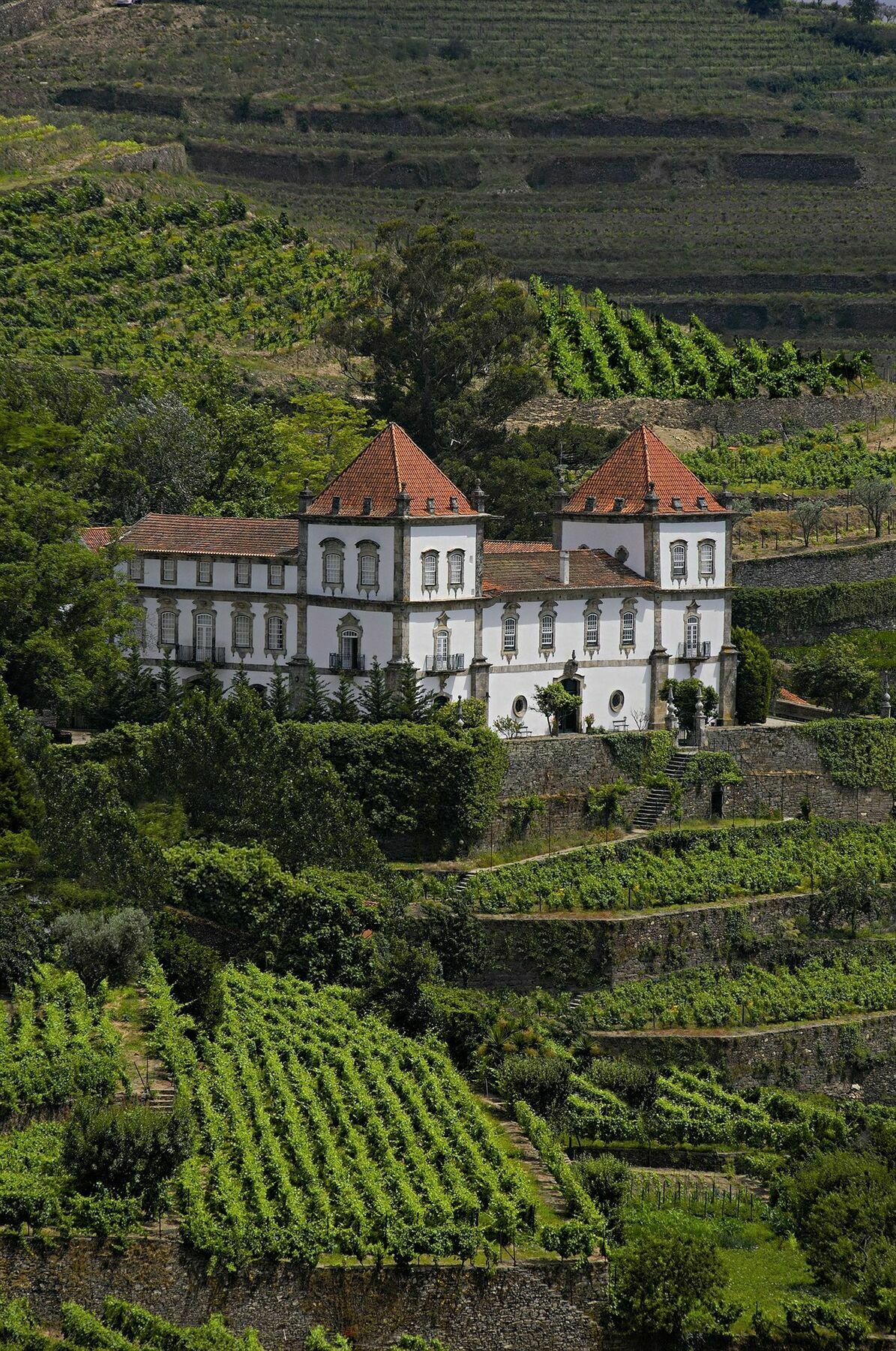 Casa Das Torres De Oliveira Мезан-Фріу Екстер'єр фото